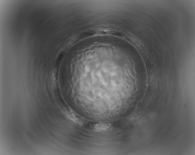 X0000084010373200702161208