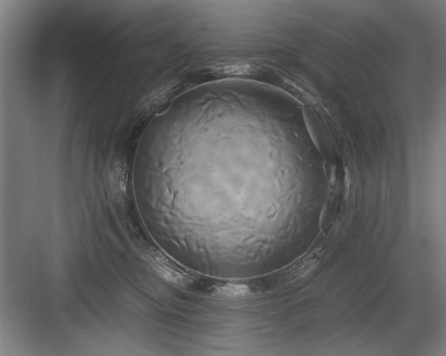 X0000084010374200702161208