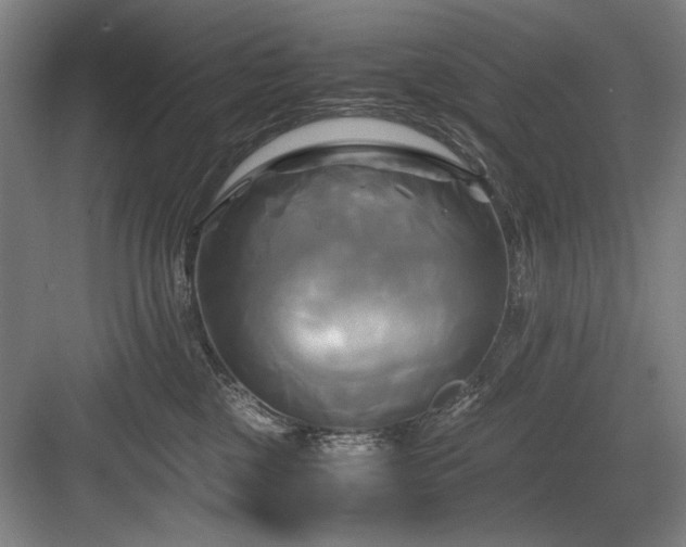 X0000084010377200702161208
