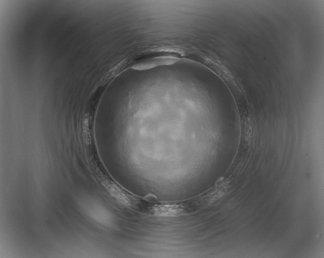 X0000084010378200702161208