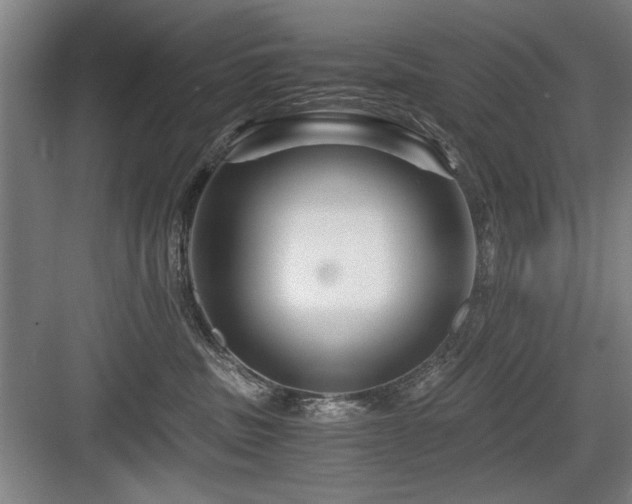 X0000084010379200702161208