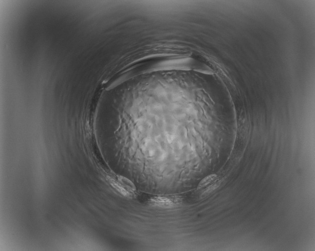 X0000084010381200702161208