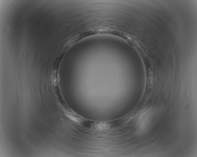 X0000084010383200702161208