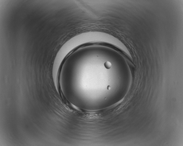 X0000084010384200702161208