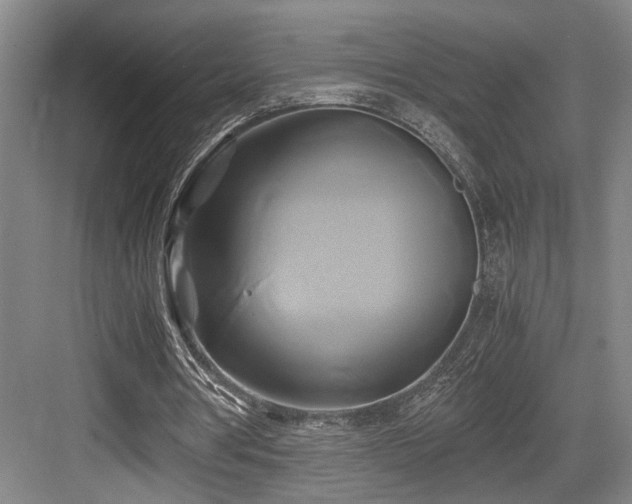X0000084010386200702161207