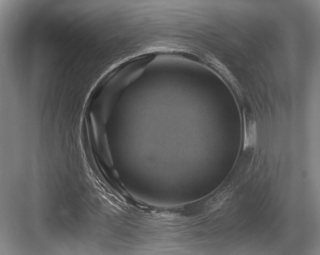X0000084010387200702161207