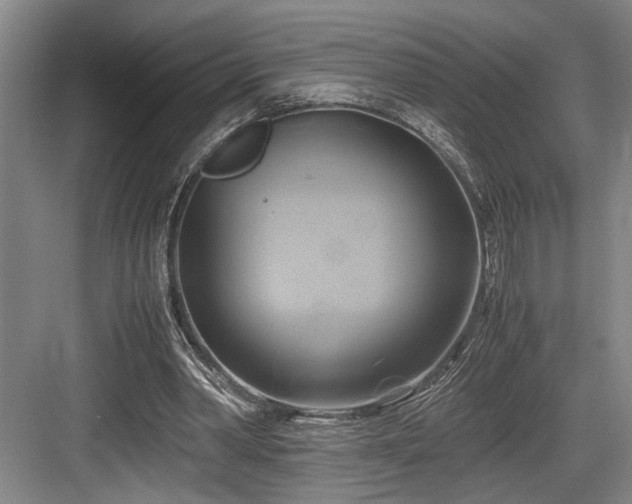 X0000084010390200702161207