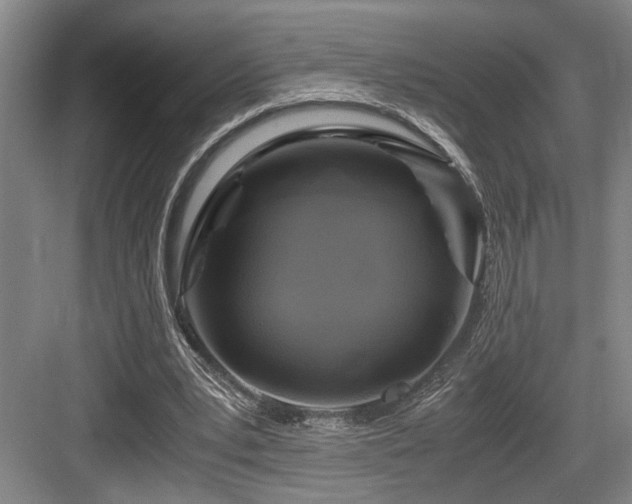 X0000084010391200702161207