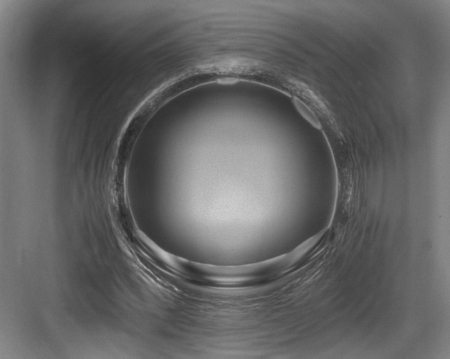 X0000084010392200702161207