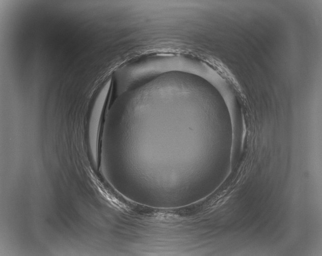 X0000084010393200702161207