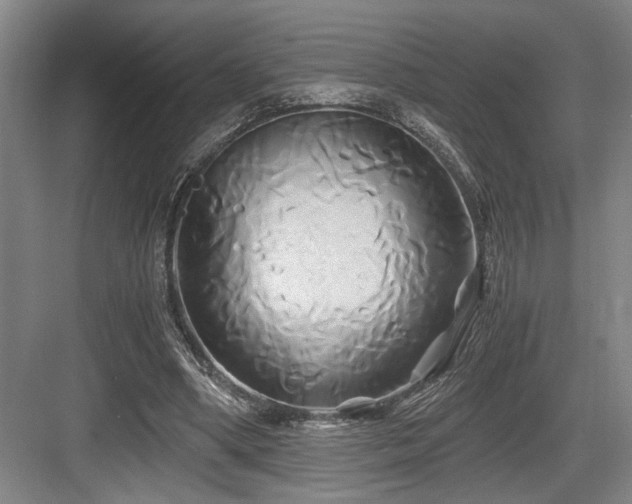 X0000084010394200702161207