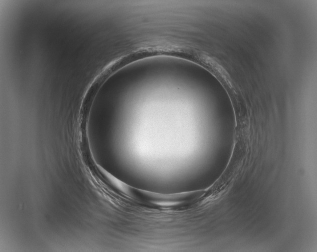 X0000084010395200702161207