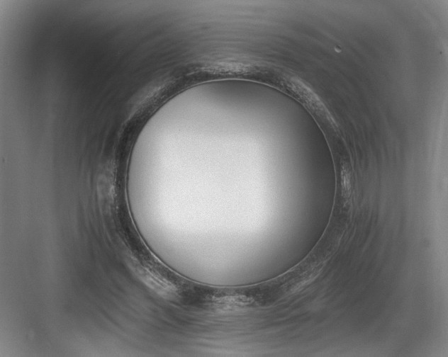 X0000084010396200702161207