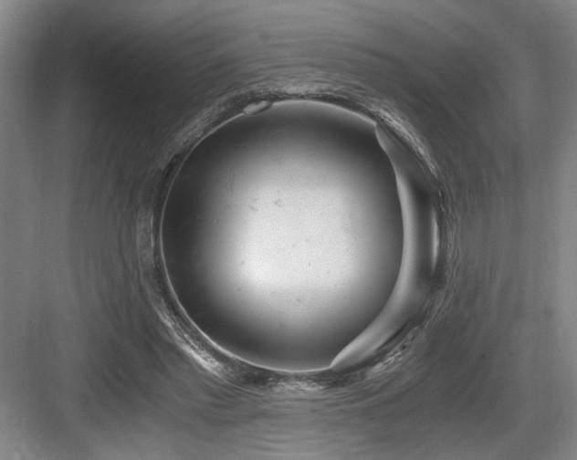 X0000084010397200702161207
