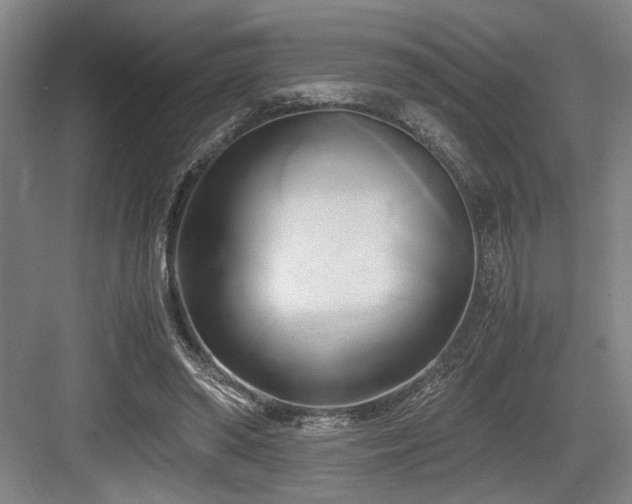 X0000084010398200702161207
