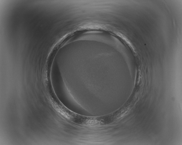 X0000084010399200702161207