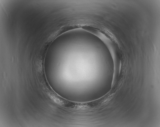 X0000084010401200702161207