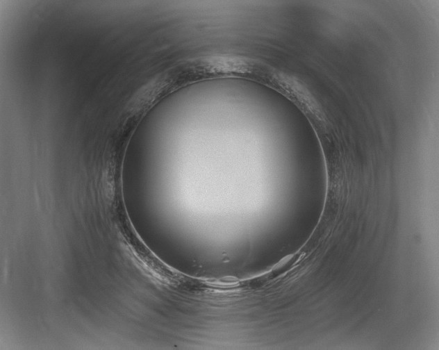 X0000084010402200702161207