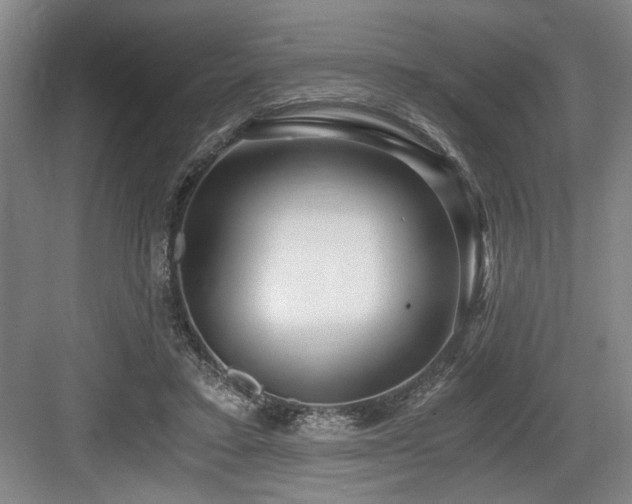 X0000084010403200702161207