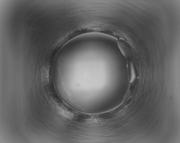 X0000084010404200702161207