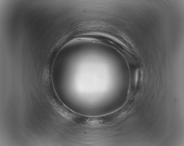 X0000084010407200702161207
