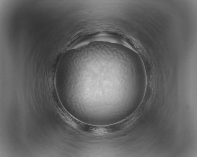 X0000084010409200702161207