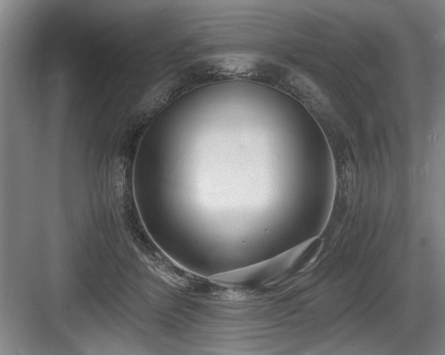 X0000084010412200702161207