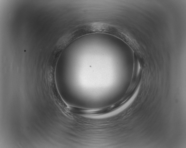 X0000084010413200702161207