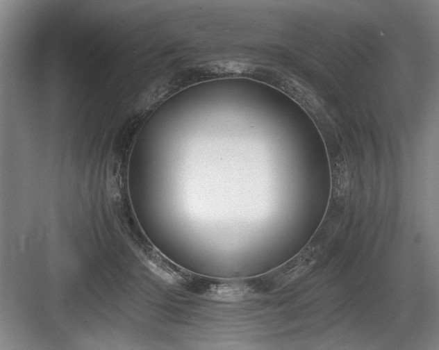 X0000084010414200702161207