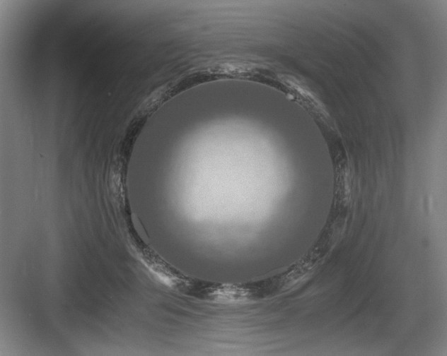 X0000084010415200702161207