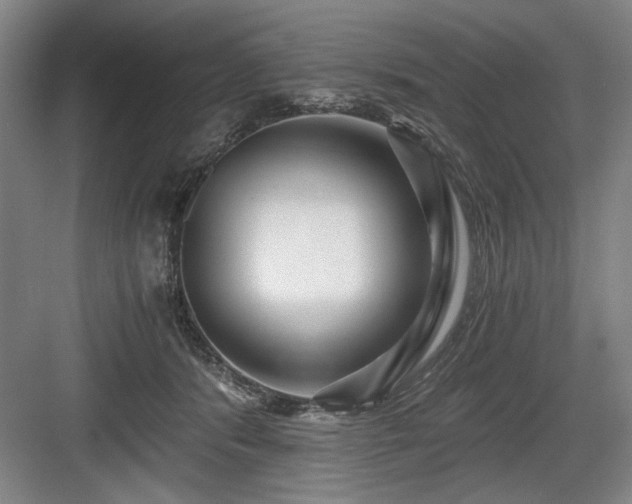 X0000084010416200702161206