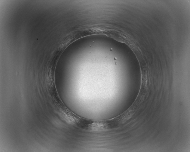 X0000084010418200702161206