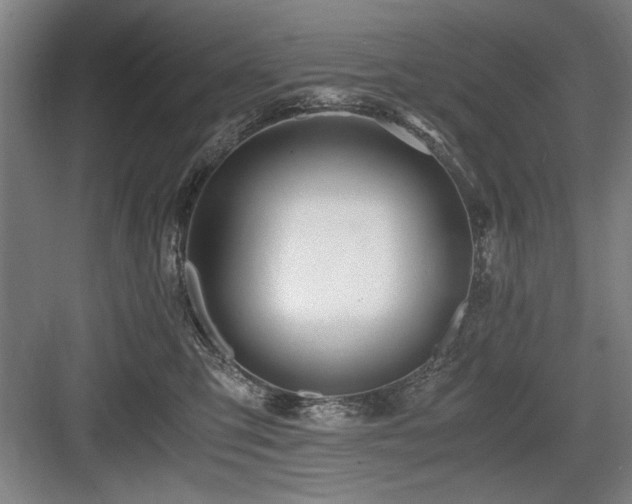 X0000084010423200702161206