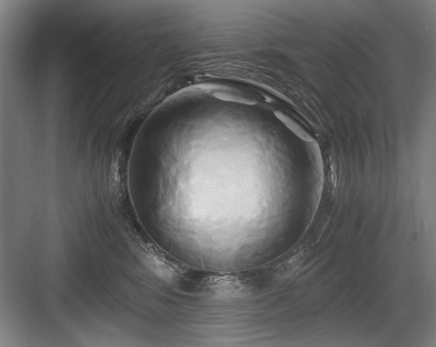 X0000084010424200702161206