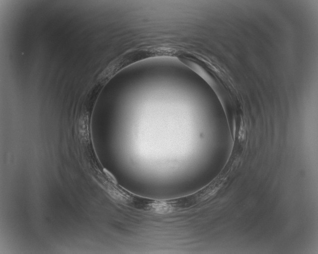 X0000084010425200702161206