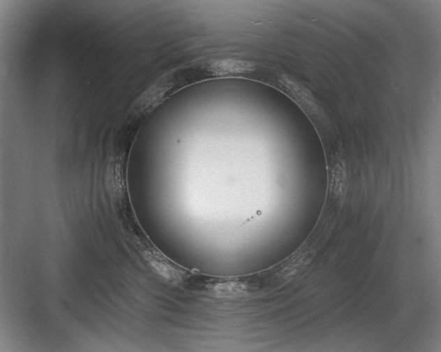 X0000084010426200702161206
