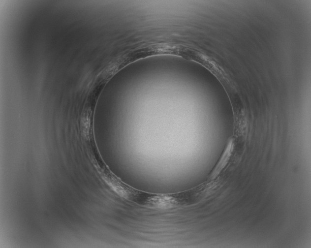 X0000084010427200702161206