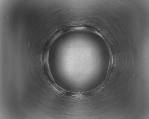 X0000084010428200702161206