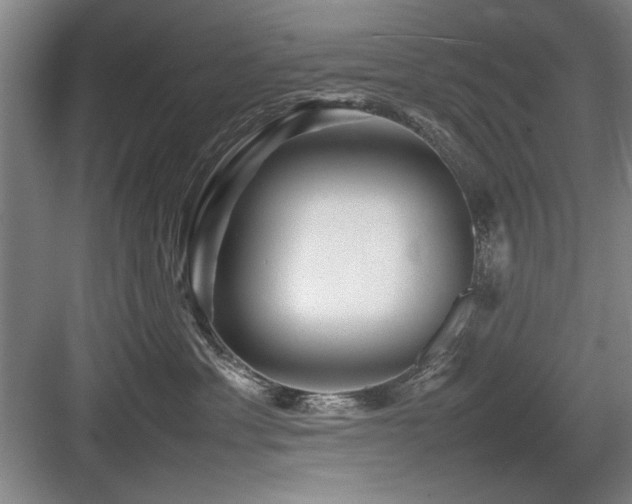 X0000084010429200702161206