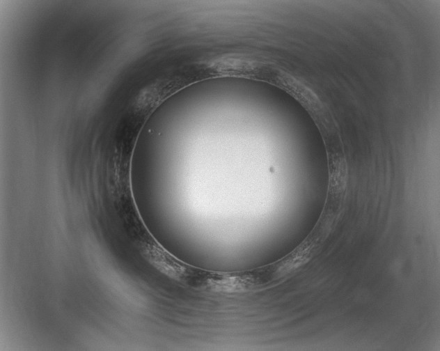 X0000084010430200702161206