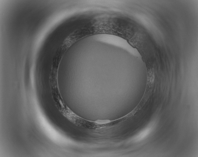 X0000084010431200702161206
