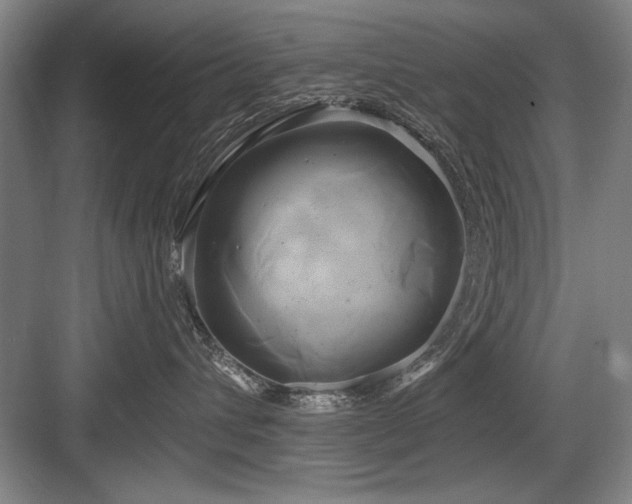 X0000084010432200702161206