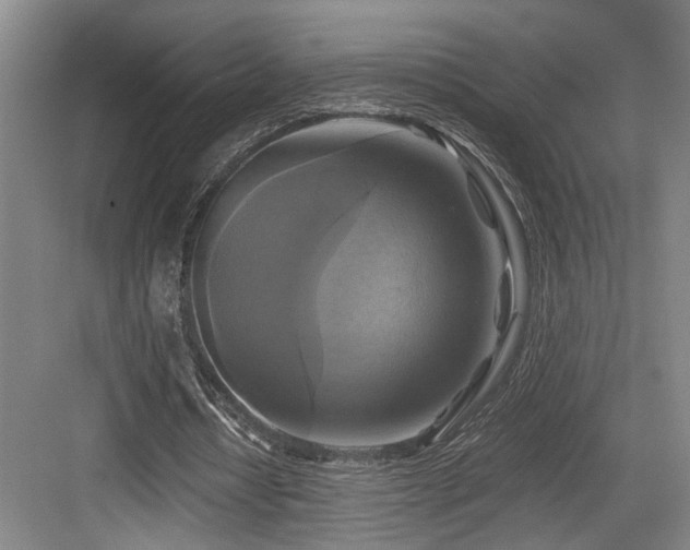 X0000084010434200702161205