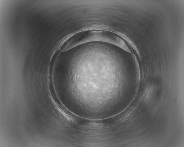 X0000084010437200702161205