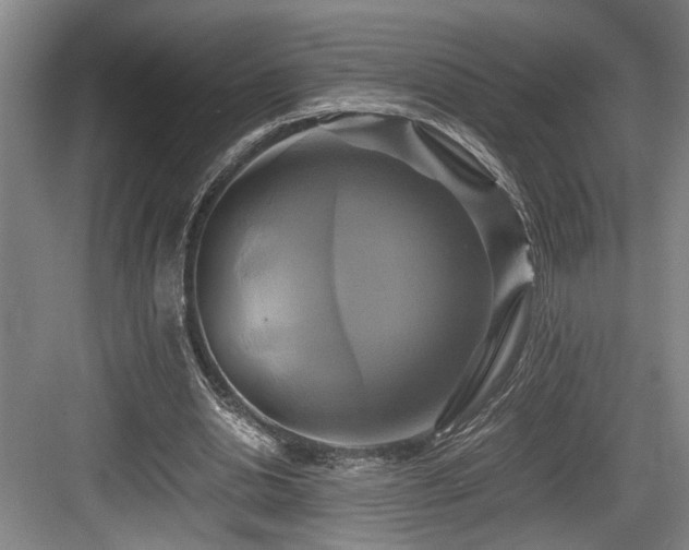 X0000084010438200702161206