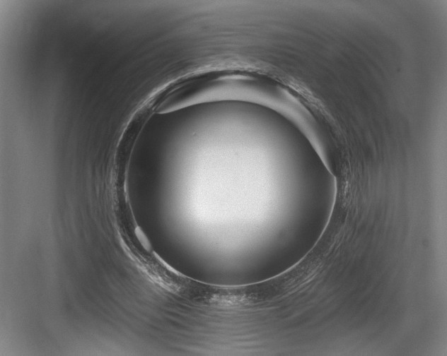 X0000084010440200702161206