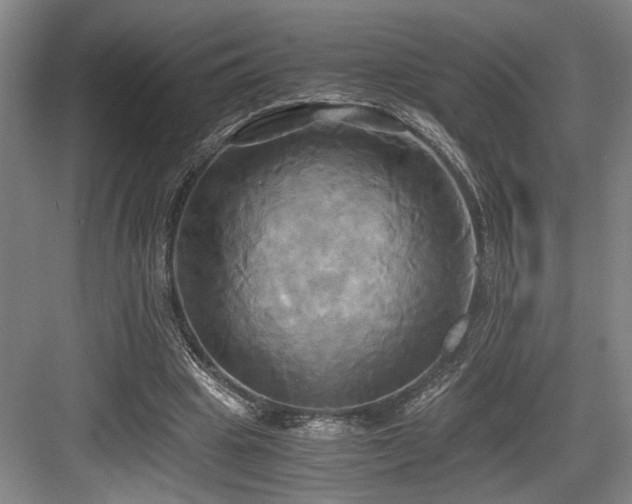 X0000084010441200702161206