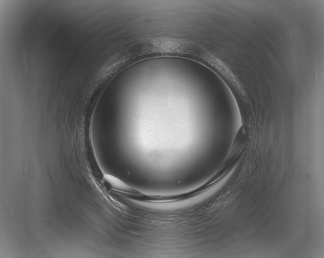 X0000084010442200702161206