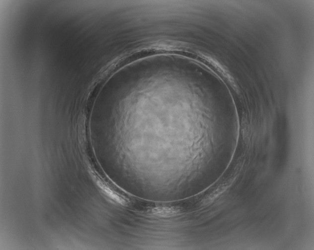 X0000084010445200702161206