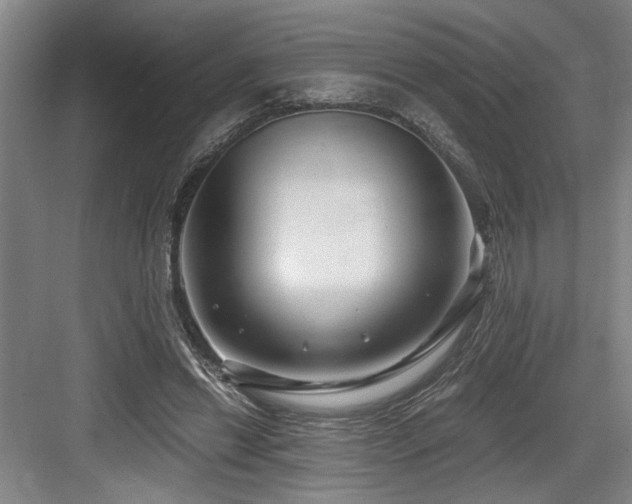X0000084010446200702161206